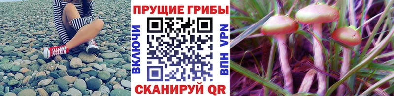 Псилоцибиновые грибы Magic Shrooms  маркетплейс как зайти  Одинцово 